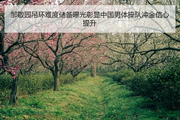 邹敬园吊环难度储备曝光彰显中国男体操队冲金信心提升