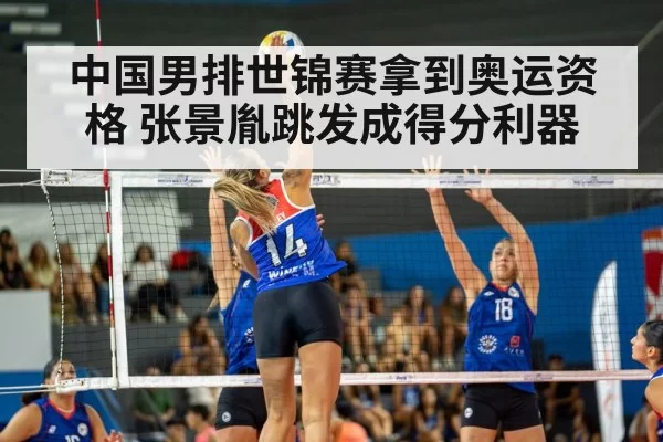 volleyball match action